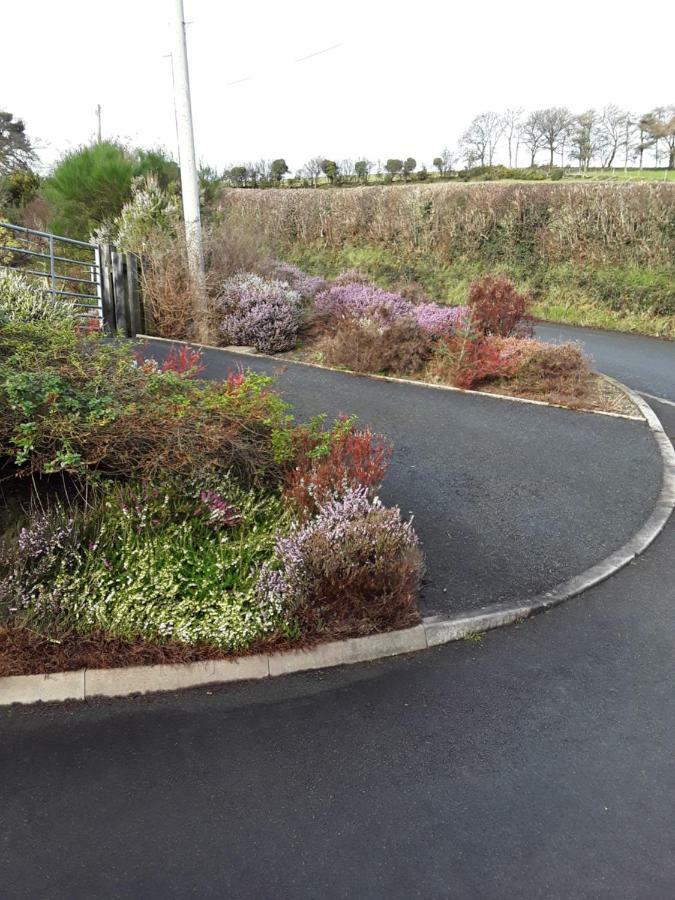 Y Grange Bed & Breakfast Llanfihangel-y-Creuddyn Luaran gambar